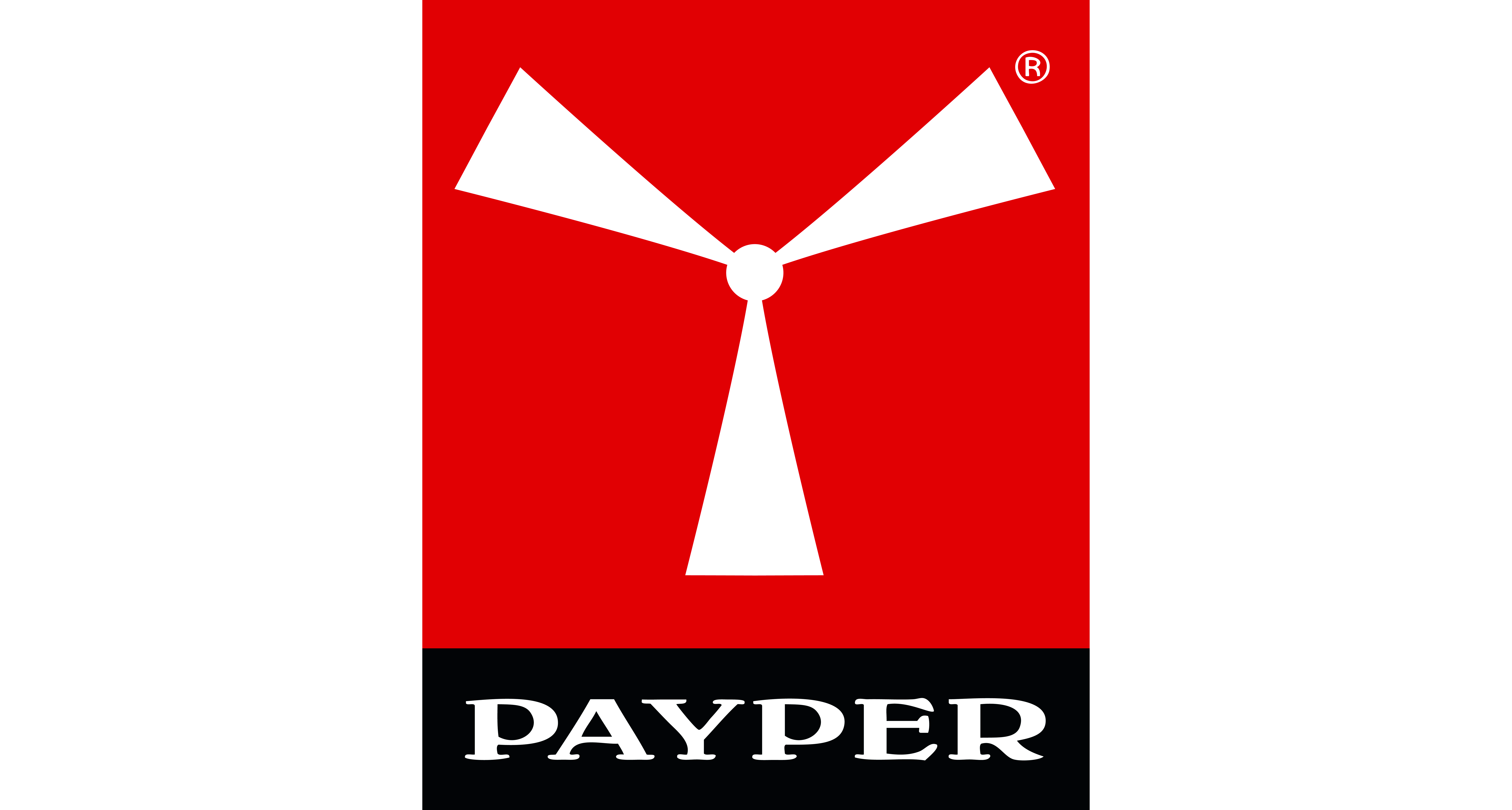 Payper ISTITUZIONALE Logo